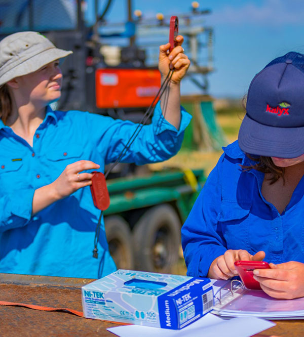 Two workers in blue shirts recording data in a field.