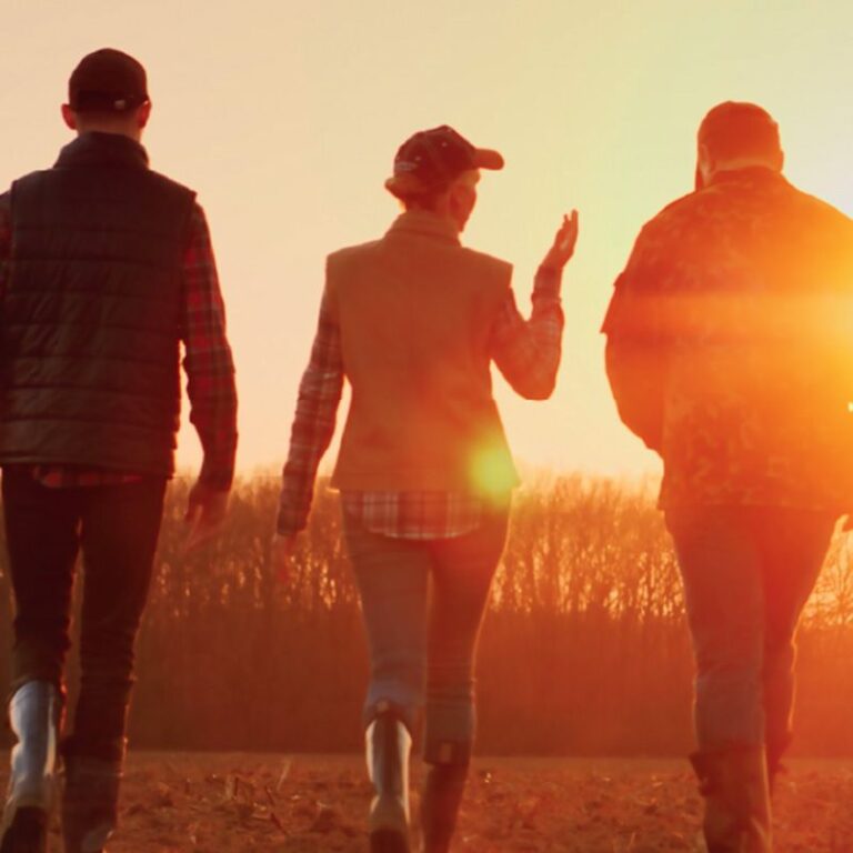 Three people walking through a field at sunset.