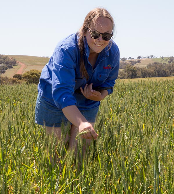 Smiling woman in a blue shirt examining crops in a field.