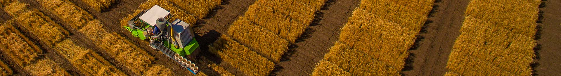 Aerial view of harvesting machinery working in a patterned wheat field.