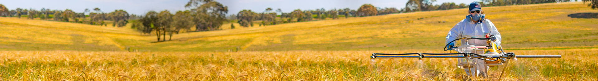 Researcher in protective gear operating agricultural machinery in a wheat field.